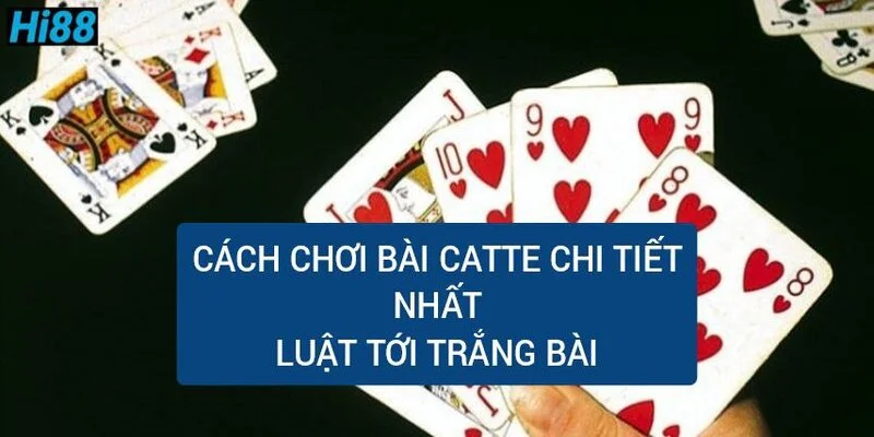 Catte là gì? Hiểu rõ luật chơi và cách chơi bài Catte 2 cach-choi-bai-catte-chi-tiet-luat-toi-trang-bai